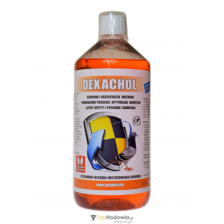 DEXACHOL 1l – ochrona i regeneracja wątroby